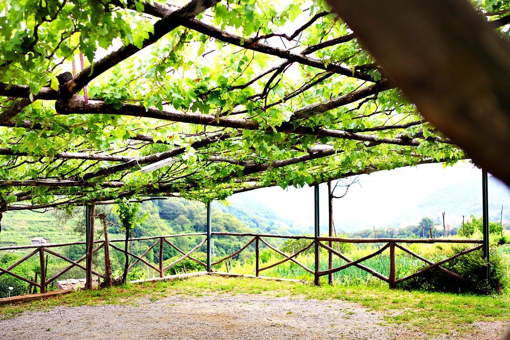 Villa Il Raduno à Tramonti Extérieur photo