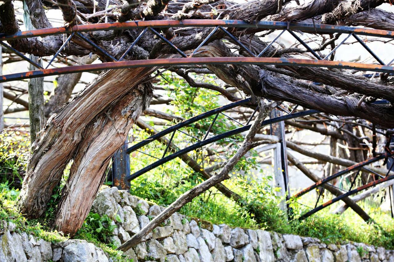 Villa Il Raduno à Tramonti Extérieur photo